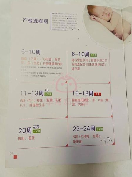 外国孕妇在中国生孩子需要什么手续_外国孕妇在中国产检流程-第1张图片-星辰妙记