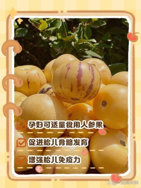孕妇能吃人参果吗_人参果对胎儿好吗-第1张图片-星辰妙记