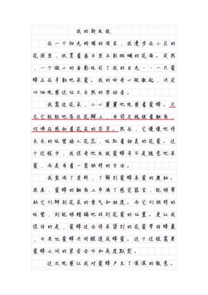 我看到了什么_如何写出一篇高分作文-第2张图片-星辰妙记
