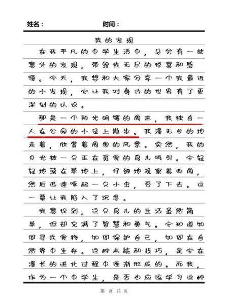 我看到了什么_如何写出一篇高分作文-第3张图片-星辰妙记