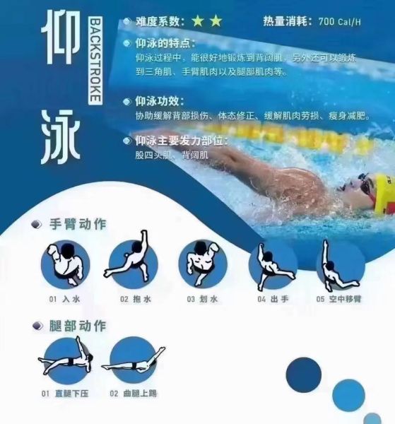 如何学会游泳_游泳初学者常见问题-第3张图片-星辰妙记