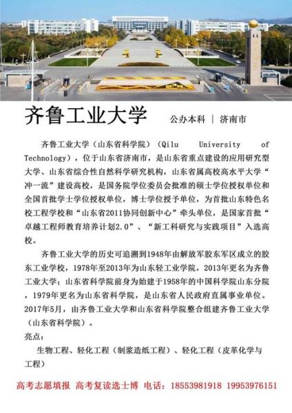 齐鲁工业大学分数线_多少分能录取-第3张图片-星辰妙记
