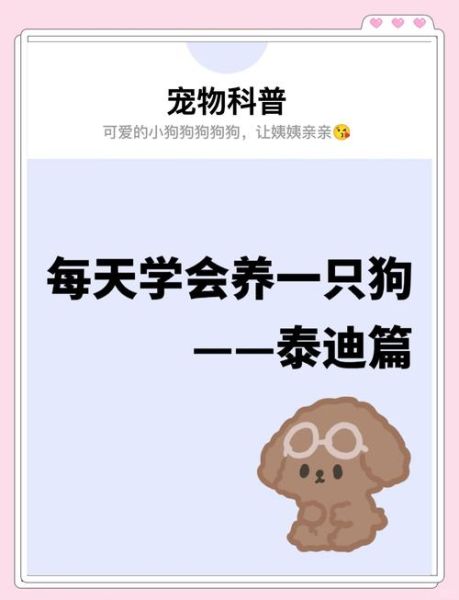 孕妇可以养泰迪狗吗_孕期养泰迪注意事项-第1张图片-星辰妙记