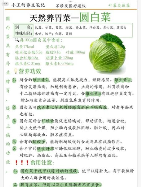 孕妇能吃圆白菜吗_圆白菜对胎儿有影响吗-第1张图片-星辰妙记