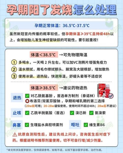 孕妇感冒发烧怎么办_孕期发烧能吃药吗-第2张图片-星辰妙记