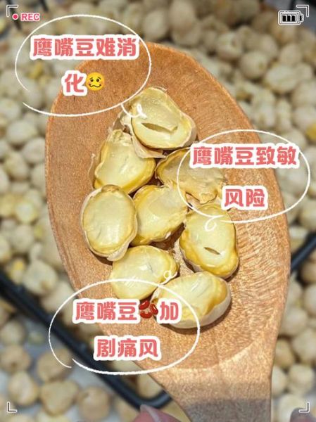 鹰嘴豆孕妇可以吃吗_孕期吃鹰嘴豆的好处与禁忌-第3张图片-星辰妙记