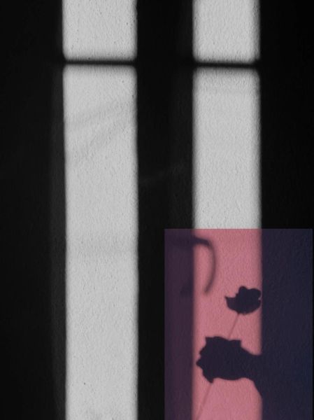 镜头突然变黑白的含义_拍摄时画面失去色彩怎么办-第2张图片-星辰妙记