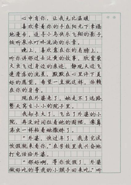 中考作文怎么写_中考作文要写多少字-第3张图片-星辰妙记