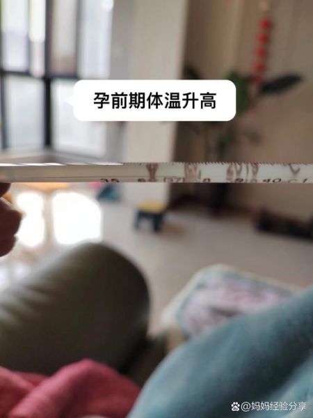 孕妇体温会高吗_孕妇体温升高正常吗-第1张图片-星辰妙记