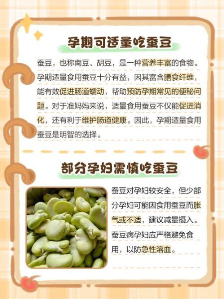 孕妇可以吃蚕豆吗_蚕豆对孕妇的影响-第1张图片-星辰妙记 孕妇可以吃蚕豆吗_蚕豆对孕妇的影响-第1张图片-星辰妙记