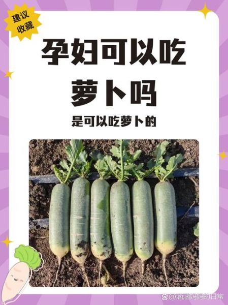 孕妇吃萝卜对胎儿好吗_孕妇吃萝卜要注意什么-第2张图片-星辰妙记 孕妇吃萝卜对胎儿好吗_孕妇吃萝卜要注意什么-第2张图片-星辰妙记