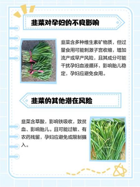 孕妇能吃韭菜吗_怀孕吃韭菜安全吗-第3张图片-星辰妙记 孕妇能吃韭菜吗_怀孕吃韭菜安全吗-第3张图片-星辰妙记