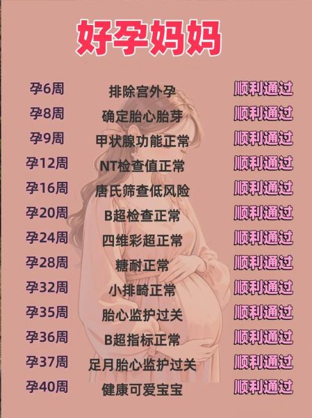 孕妇检查项目有哪些_孕早期检查时间表-第2张图片-星辰妙记 孕妇检查项目有哪些_孕早期检查时间表-第2张图片-星辰妙记