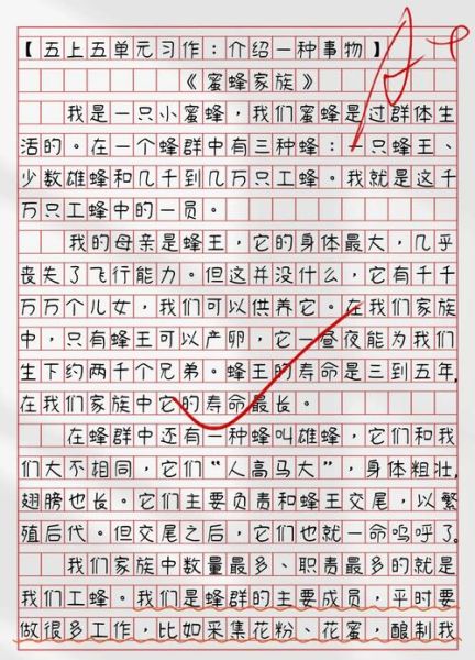 五年级上册第五单元作文怎么写_如何写介绍一种事物-第2张图片-星辰妙记