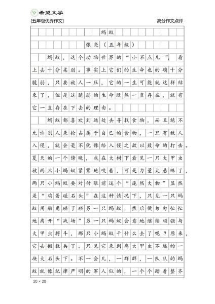 五年级优秀作文怎么写_如何写五年级优秀作文-第3张图片-星辰妙记 五年级优秀作文怎么写_如何写五年级优秀作文-第3张图片-星辰妙记