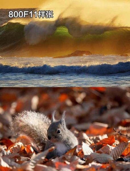 佳能长焦镜头推荐_如何选远摄镜头-第3张图片-星辰妙记