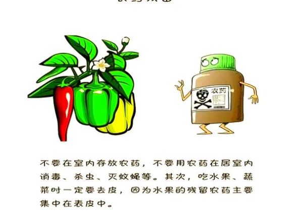 孕妇吃了刚喷农药的菜怎么办_对胎儿有影响吗-第3张图片-星辰妙记