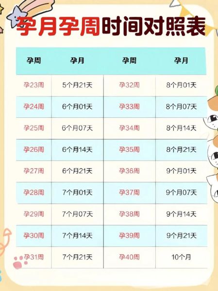 孕妇一共多少周_怀孕周期怎么算-第2张图片-星辰妙记