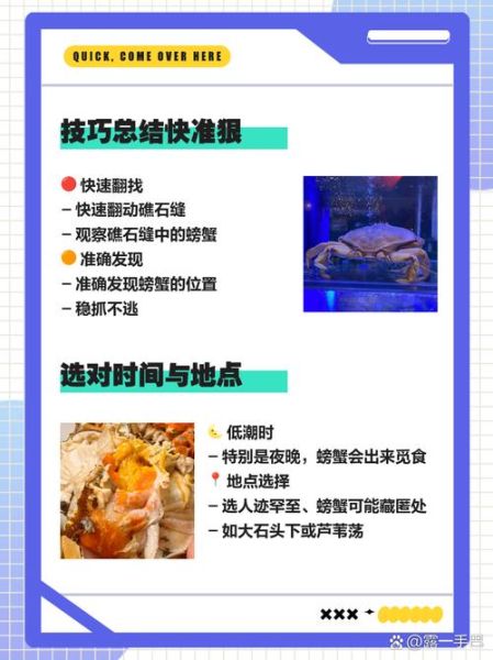 海边捉螃蟹技巧_去海边怎么抓螃蟹-第1张图片-星辰妙记