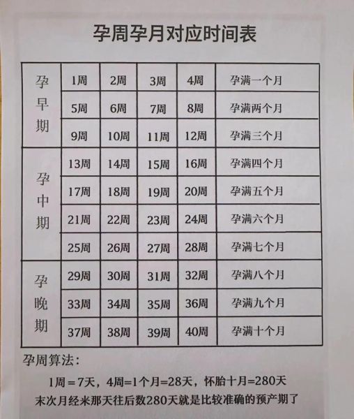 孕妇一共多少周_怀孕周期怎么算-第3张图片-星辰妙记