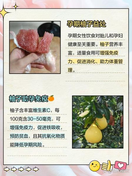 孕妇可以吃柚子吗_孕期吃柚子注意事项-第1张图片-星辰妙记