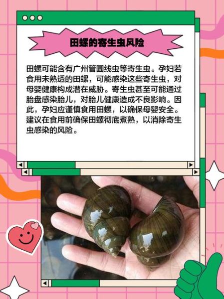 孕妇吃了石螺怎么办_对胎儿有影响吗-第2张图片-星辰妙记 孕妇吃了石螺怎么办_对胎儿有影响吗-第2张图片-星辰妙记
