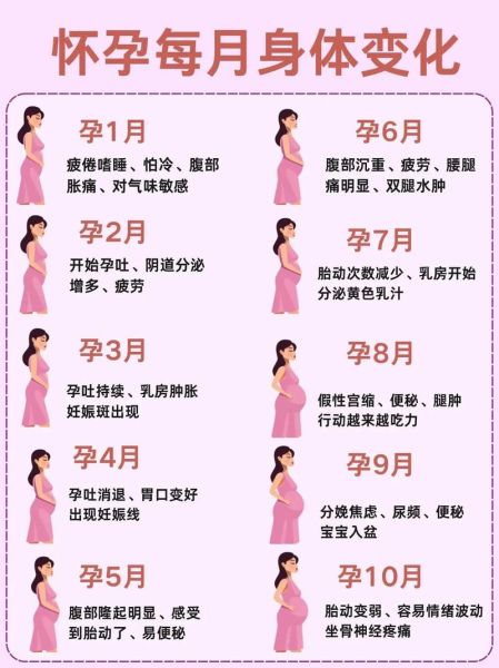 十月孕妇的肚子有多大_怀孕十个月肚子变化图-第1张图片-星辰妙记 十月孕妇的肚子有多大_怀孕十个月肚子变化图-第1张图片-星辰妙记