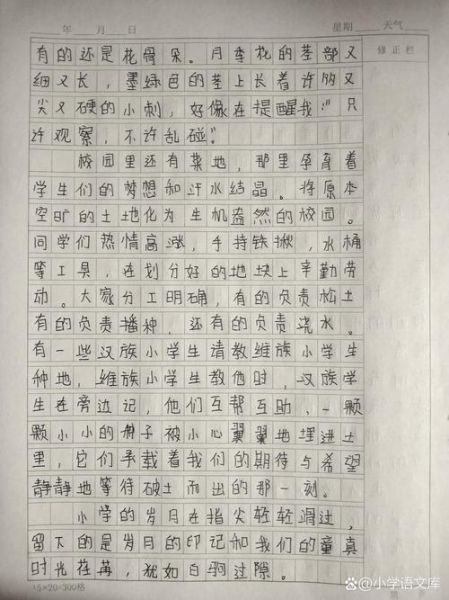 美丽的校园作文怎么写_400字范文如何扩写到800字-第1张图片-星辰妙记 美丽的校园作文怎么写_400字范文如何扩写到800字-第1张图片-星辰妙记