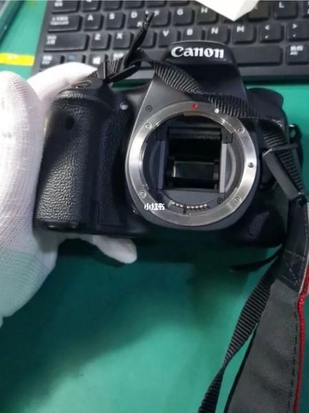 佳能70d配什么镜头_佳能70d镜头推荐-第1张图片-星辰妙记