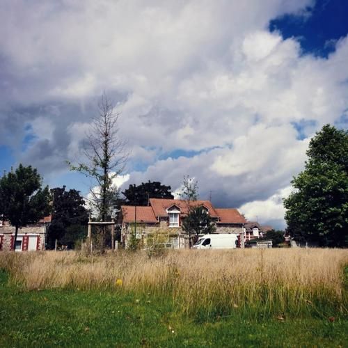 what_is_macro_lens_used_for_how_to_choose_macro_lens-第2张图片-星辰妙记