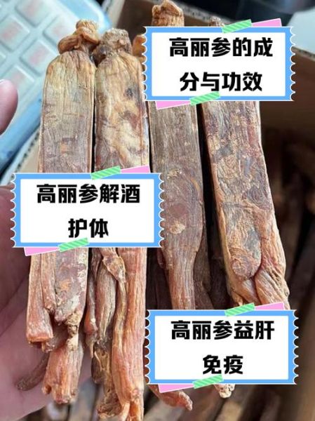高丽参孕妇可以吃吗_孕期吃高丽参的禁忌与建议-第1张图片-星辰妙记