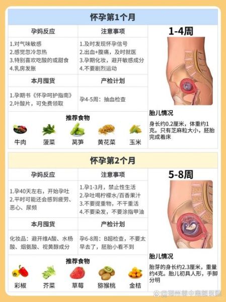 孕妇补充维生素a吃什么好_孕妇维生素a过量对胎儿的影响-第1张图片-星辰妙记