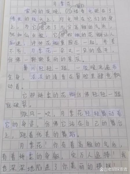 养花作文100字怎么写_如何写出高分-第3张图片-星辰妙记