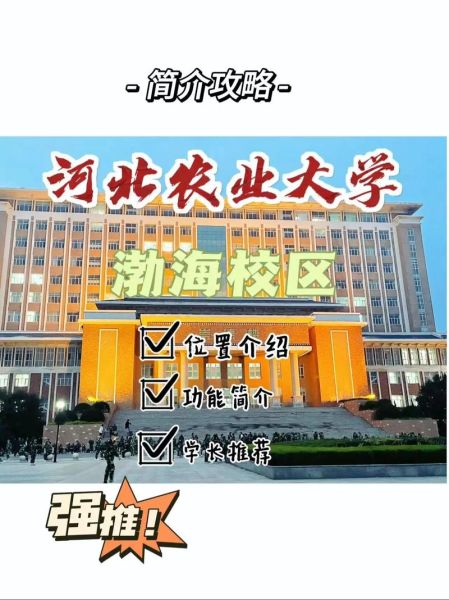 河北农业大学地址在哪里_河北农业大学有几个校区-第1张图片-星辰妙记