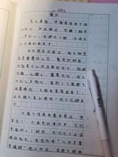 窗外作文800字怎么写_窗外景色描写技巧-第3张图片-星辰妙记 窗外作文800字怎么写_窗外景色描写技巧-第3张图片-星辰妙记