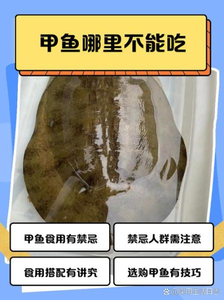 孕妇吃甲鱼对胎儿有影响吗_孕期能不能吃甲鱼-第3张图片-星辰妙记 孕妇吃甲鱼对胎儿有影响吗_孕期能不能吃甲鱼-第3张图片-星辰妙记