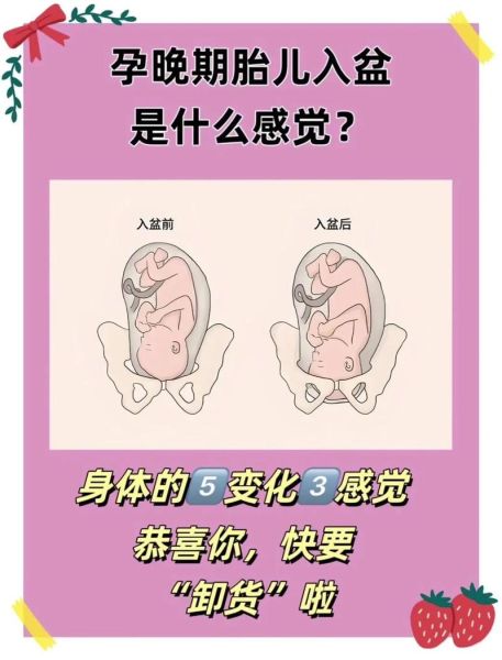 胎儿多少周入盆_入盆后多久会生-第3张图片-星辰妙记