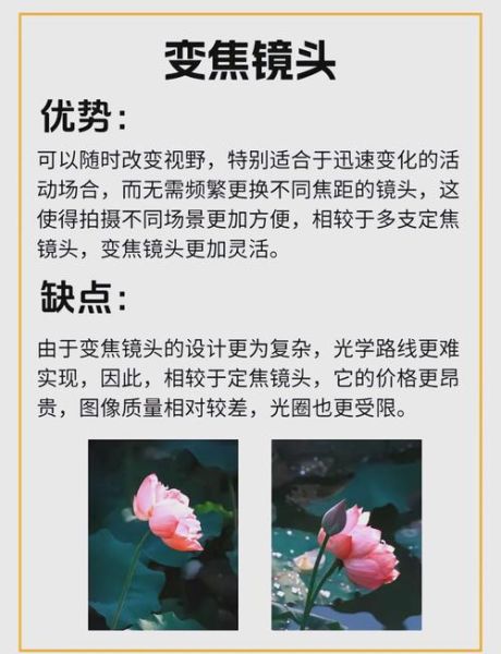 蓝标镜头是什么_蓝标镜头和绿标镜头区别-第1张图片-星辰妙记 蓝标镜头是什么_蓝标镜头和绿标镜头区别-第1张图片-星辰妙记