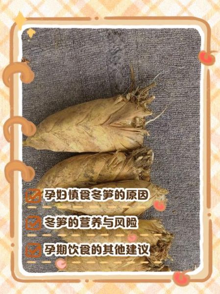 孕妇能吃竹笋吗_对胎儿有影响吗-第1张图片-星辰妙记