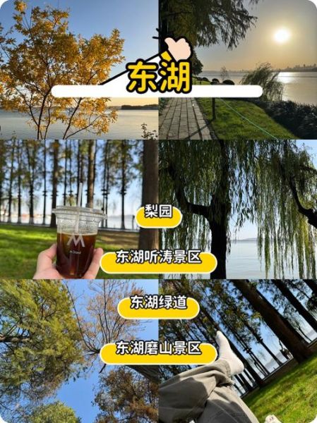 浙江农林大学东湖论坛怎么注册_东湖论坛有哪些热门版块-第2张图片-星辰妙记