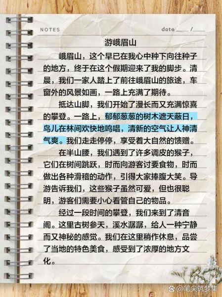 峨眉山旅游攻略_峨眉山作文怎么写-第1张图片-星辰妙记