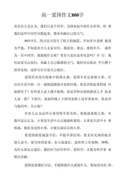 什么是爱国_如何写爱国作文800字-第2张图片-星辰妙记