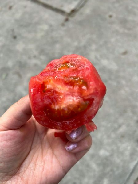 孕妇梦见摘番茄是男孩吗_胎梦解析-第2张图片-星辰妙记 孕妇梦见摘番茄是男孩吗_胎梦解析-第2张图片-星辰妙记