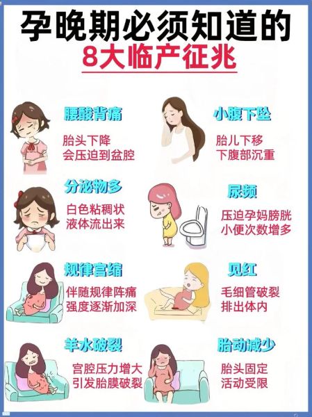 孕妇生前有什么征兆_临产前一周身体变化-第1张图片-星辰妙记 孕妇生前有什么征兆_临产前一周身体变化-第1张图片-星辰妙记