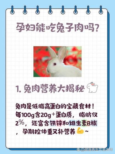 孕妇能吃兔子肉吗_孕妇吃兔子肉有什么危害-第1张图片-星辰妙记