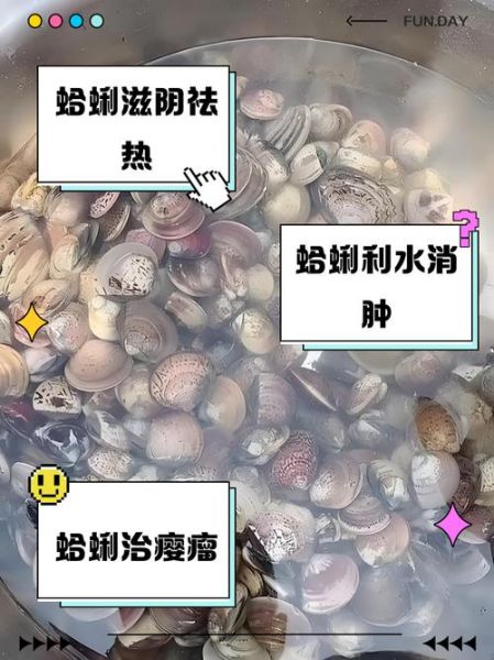孕妇可以吃蛤蜊吗_怀孕吃蛤蜊注意事项-第1张图片-星辰妙记 孕妇可以吃蛤蜊吗_怀孕吃蛤蜊注意事项-第1张图片-星辰妙记