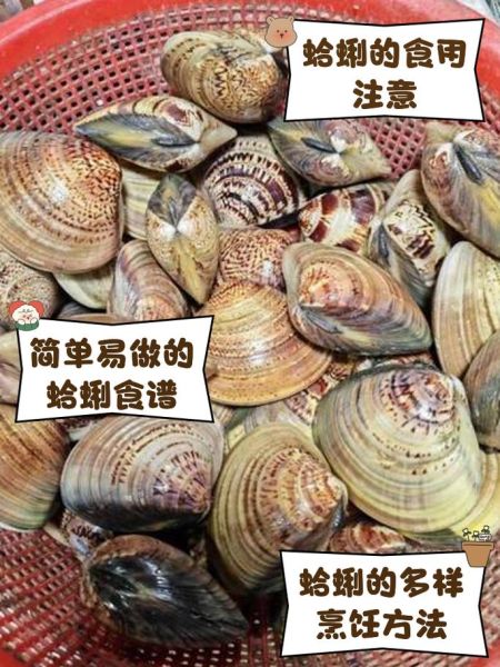 孕妇可以吃蛤蜊吗_怀孕吃蛤蜊注意事项-第3张图片-星辰妙记 孕妇可以吃蛤蜊吗_怀孕吃蛤蜊注意事项-第3张图片-星辰妙记
