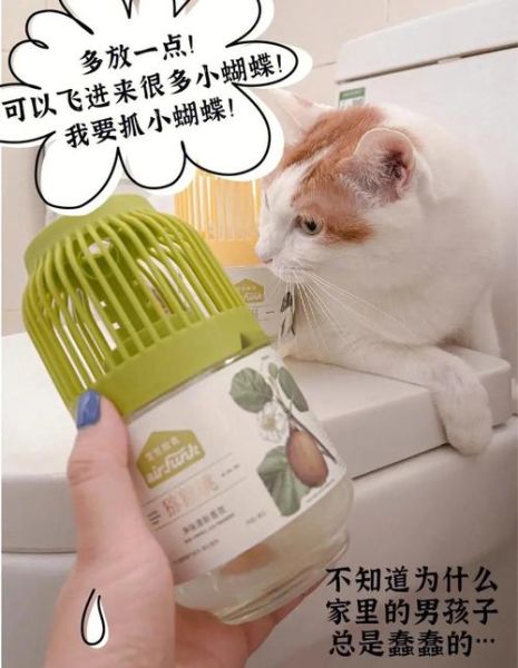 厕所怎么除臭_厕所异味怎么去除-第2张图片-星辰妙记