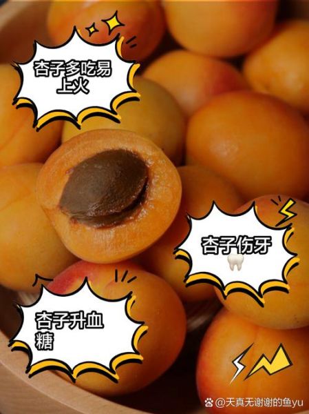 孕妇一天最多吃几个杏_杏子对胎儿有影响吗-第1张图片-星辰妙记 孕妇一天最多吃几个杏_杏子对胎儿有影响吗-第1张图片-星辰妙记