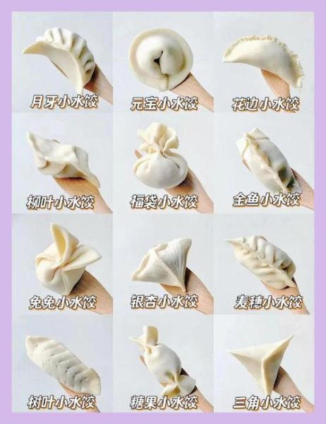 包饺子怎么包_包饺子需要哪些材料-第1张图片-星辰妙记